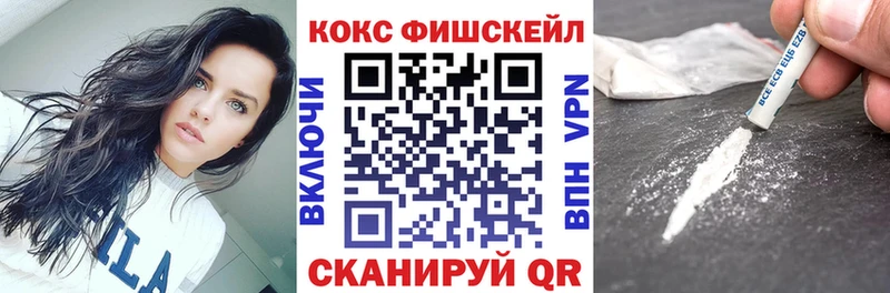 цены наркотик  Севск  mega зеркало  COCAIN Fish Scale 