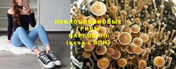 гидра Беломорск