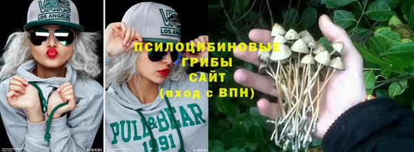 ALPHA PVP Белокуриха
