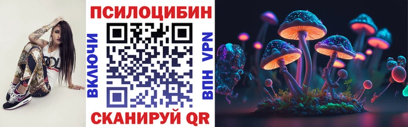 Псилоцибиновые грибы Cubensis Севск