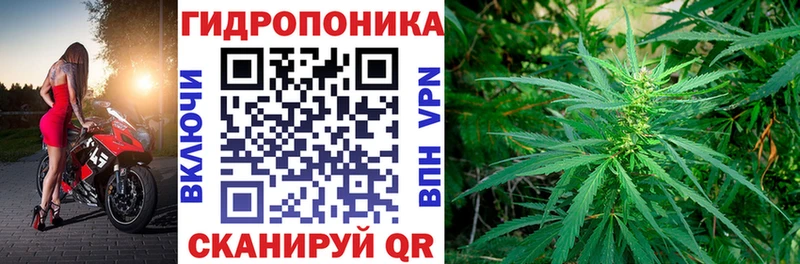 что такое наркотик  Севск  Марихуана гибрид 